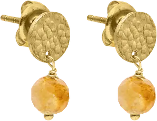 a Beautiful Story Mini Coin Citrine GP korvakorut