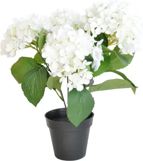 Hortensia ruukku 25x25x39 cm valkoinen