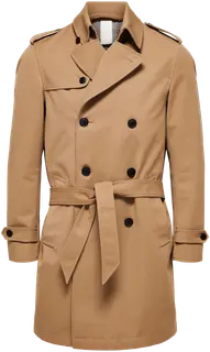 Selected Slhwilliam trenssi