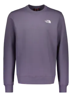 The North Face Simple dome college