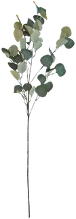 Eukalyptus oksa 90 cm vihreä