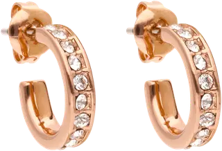 Ted Baker Seenita crystal nano silver korvarenkaat