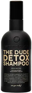 The Dude Detox Shampoo 250ml