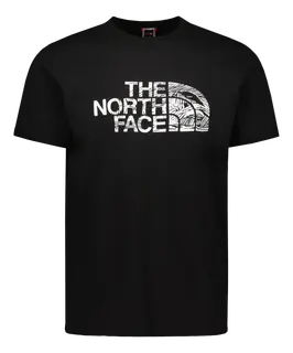 The North Face Woodcut dome t-paita