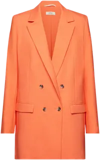 Esprit bleiseri