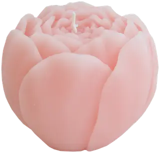 Kynttilä ruusu 7x7x6 cm vaal.pun.