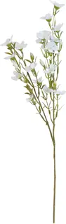 Kukkaoksa 52 cm valkoinen