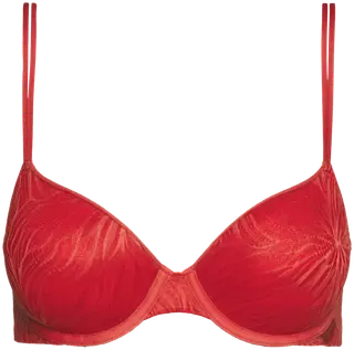 Calvin Klein Sheer Marq Lace Demi-Plunge rintaliivit
