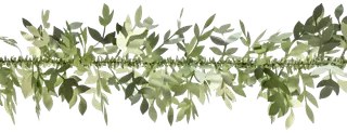 kapea lehtipunos avocado  90mm*2m