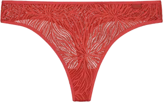 Calvin Klein Sheer Marq Lace Thong alushousut