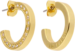 Ted Baker Senatta gold korvarenkaat