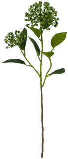 Hortensia 55 cm vihreä