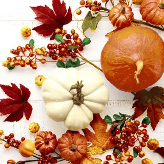 Duni Paper+ Design 20kpl 24cm 3-krs Pumpkin Leaves lautasliina