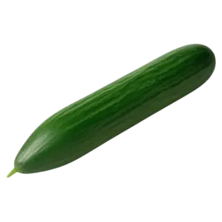 Kurk pikk