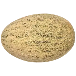 Kesk Aasia melon