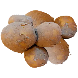 Kartul pesemata