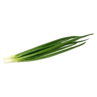 Roheline sibul pakitud