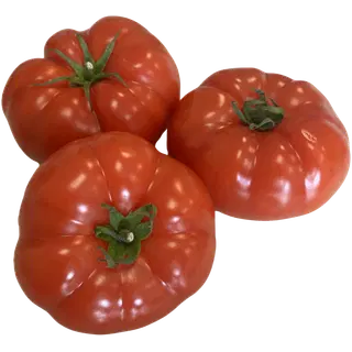 Tomat Punane Beef i kl