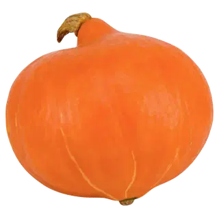 Mahe Kõrvits