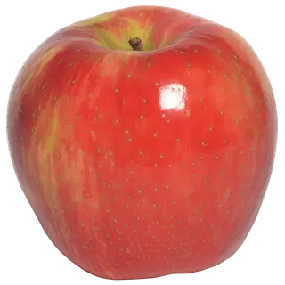 Õun Honey Crunch I klass