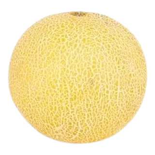 Melon Galia