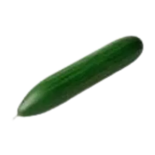 Pikk kurk kileta Peipsi