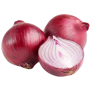 Mugulsibul punane