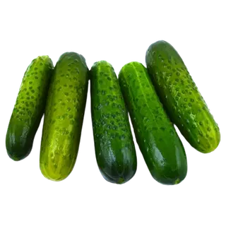 Värske soolakurk lahtine