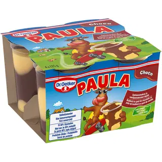 Dr. Oetker Paula šokolaadipuding 4x125g