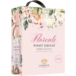 KGT vein CASA CHARLIZE Pinot Grigio 3L