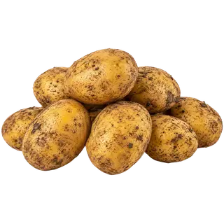 Kartul Solist, KOORTI KARTUL, 1 kg