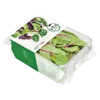 Salat Mangold, VITA VERDE , 100g