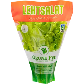 Lehtsalat potis Grüne Fee
