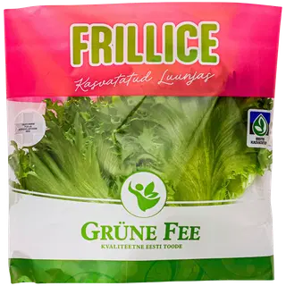 Salat Frillice kiles Grüne Fee