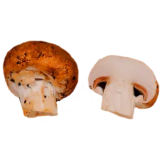 Šampinjon pruun 250g