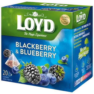 Loyd puuviljatee Pyramids põldmari ja mustikas 40g