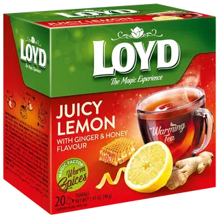 Loyd puuviljatee Pyramids Warming Sidrun 40g