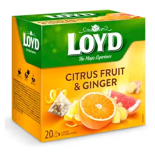 Loyd taime- ja puuviljatee ingveri- ja tsitrusemaitseline 20 x 2g PÜRAMIID