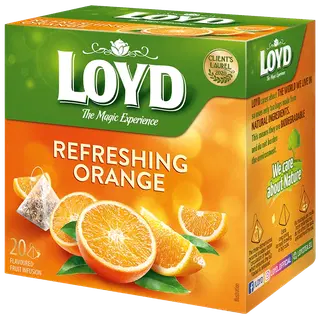 Loyd Pyramids teevärske apelsin 20x2,2g