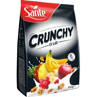 Röstitud müsli puuviljadega Sante 350g