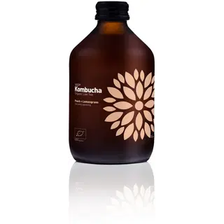 Vigo Kombucha virsiku-sidrunheina 330 ml