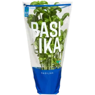 Kotimaista Basiilik potis