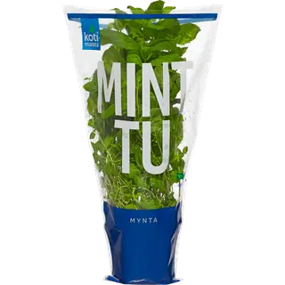 Münt potis Kotimaista