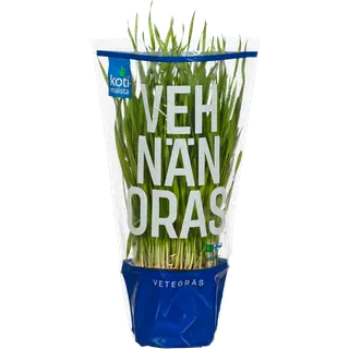 Nisuoras potis Kotimaista