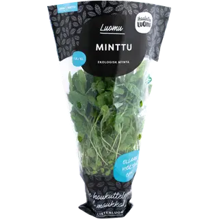 Münt mahe