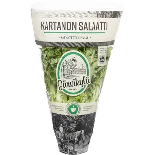 Järvikylän Salat potis Kartanon