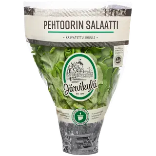 Kotimaista pethroone salat potis