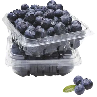 Mustikad 250g
