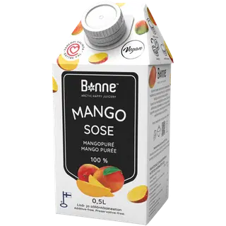 Mangopüree 100% BONNE 0.5L