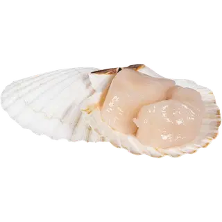 Herkku Delikatess Kammkarbiliha 180 g